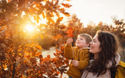 REACH for RETIREMENT – 2024 Q3