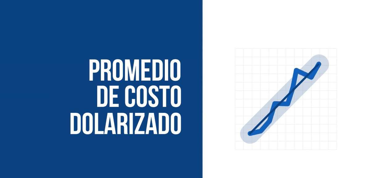 Promedio De Costo Dolarizado