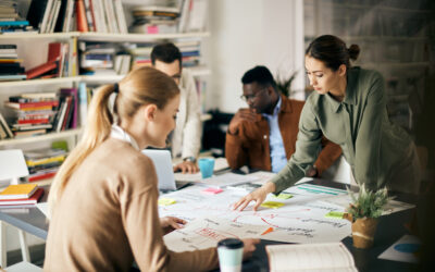 The Planning Zone